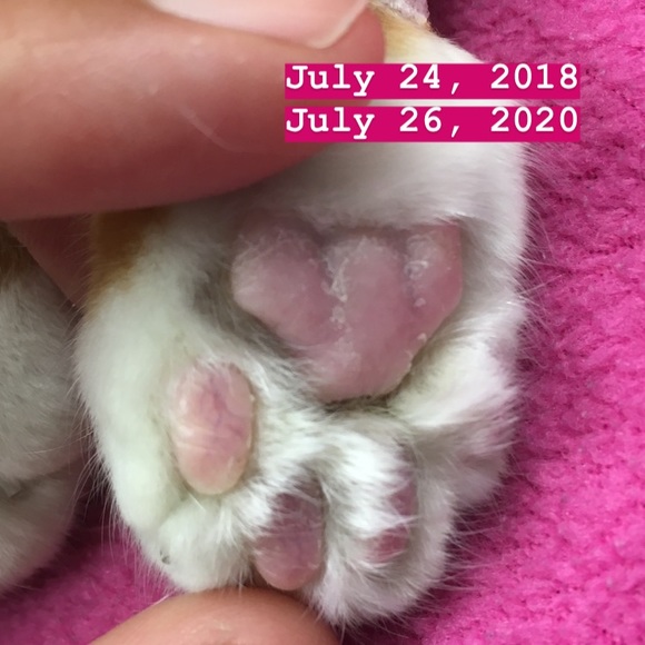 Taking a break. - Picture 5 of 7